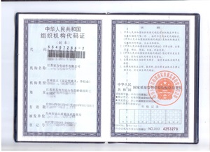 组织机构代码证新